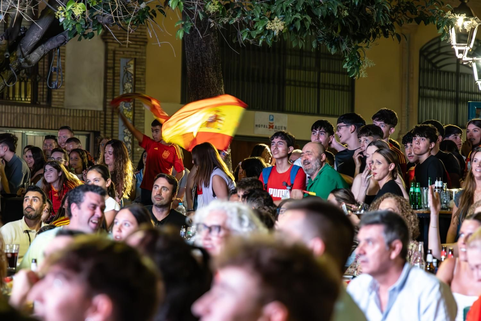 La euforia jiennense por la victoria de España, imágenes