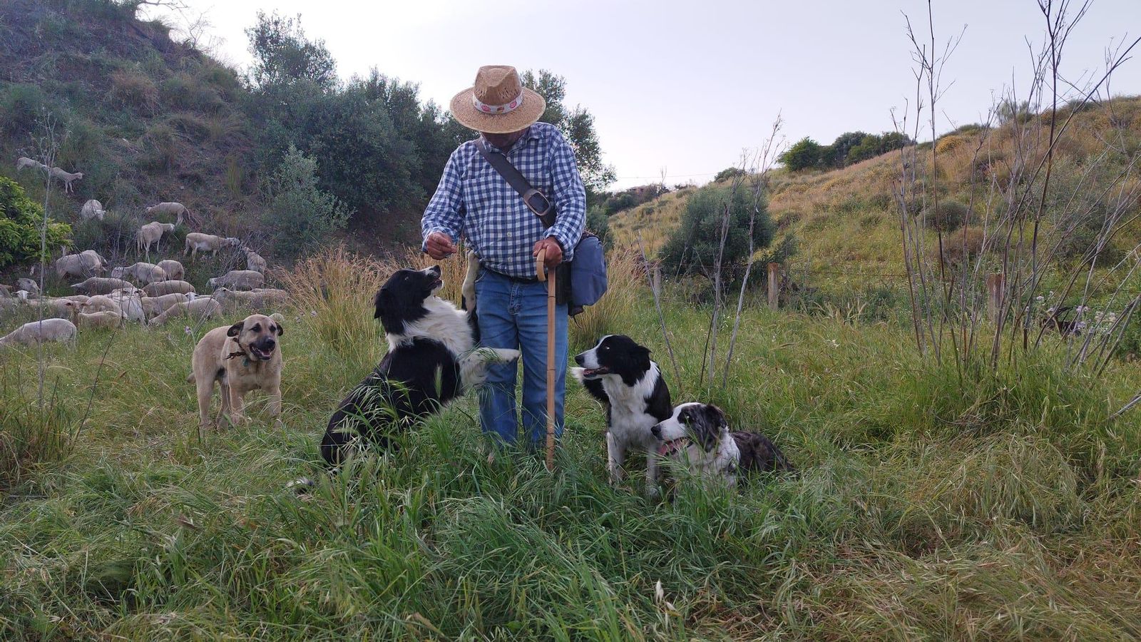 José Antonio Gómez García con sus perros
