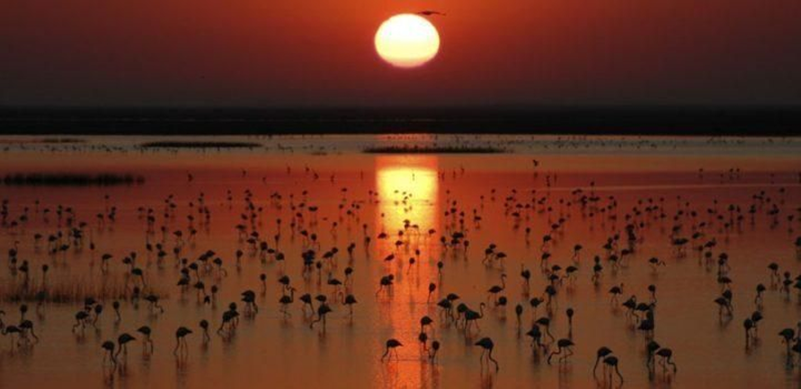 Parque Nacional de Doñana