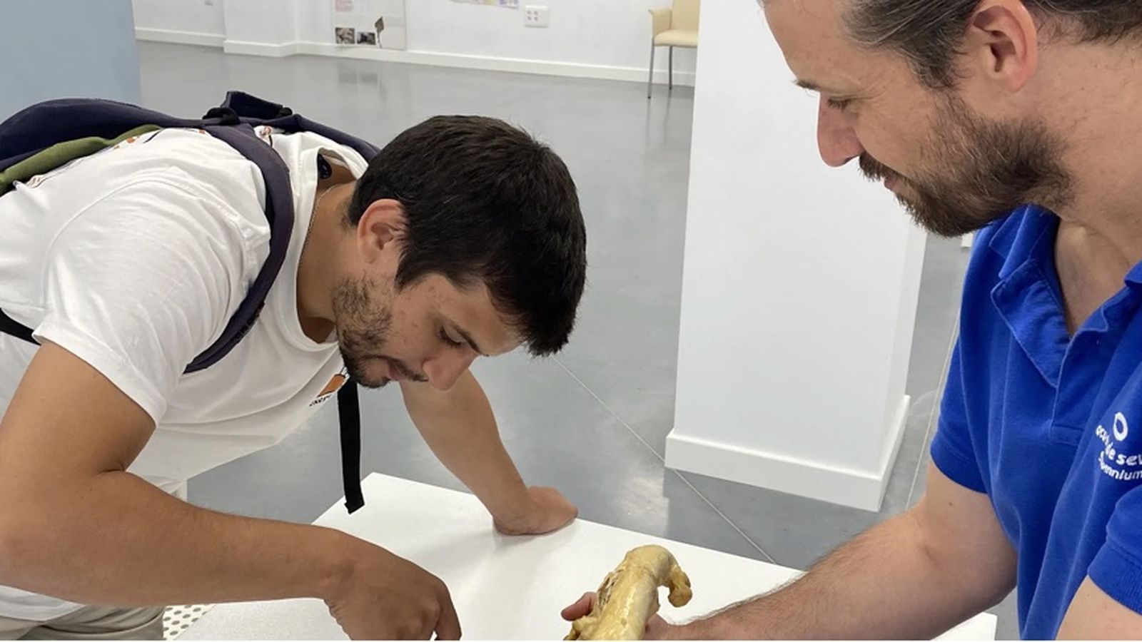 Día del profe en el Acuario de Sevilla