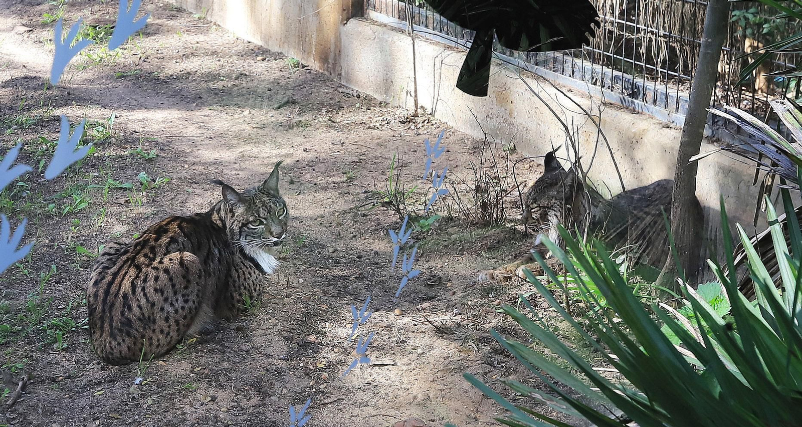 El Zoo de Jerez cumple 72 años El Zoo de Jerez cumple 72 años