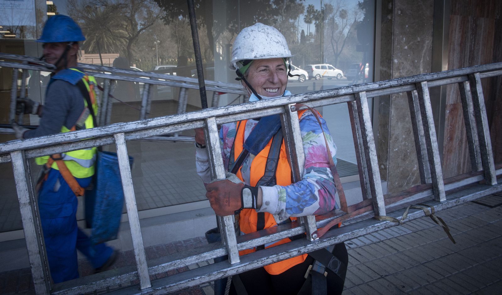 La recogida de naranja amarga en Sevilla