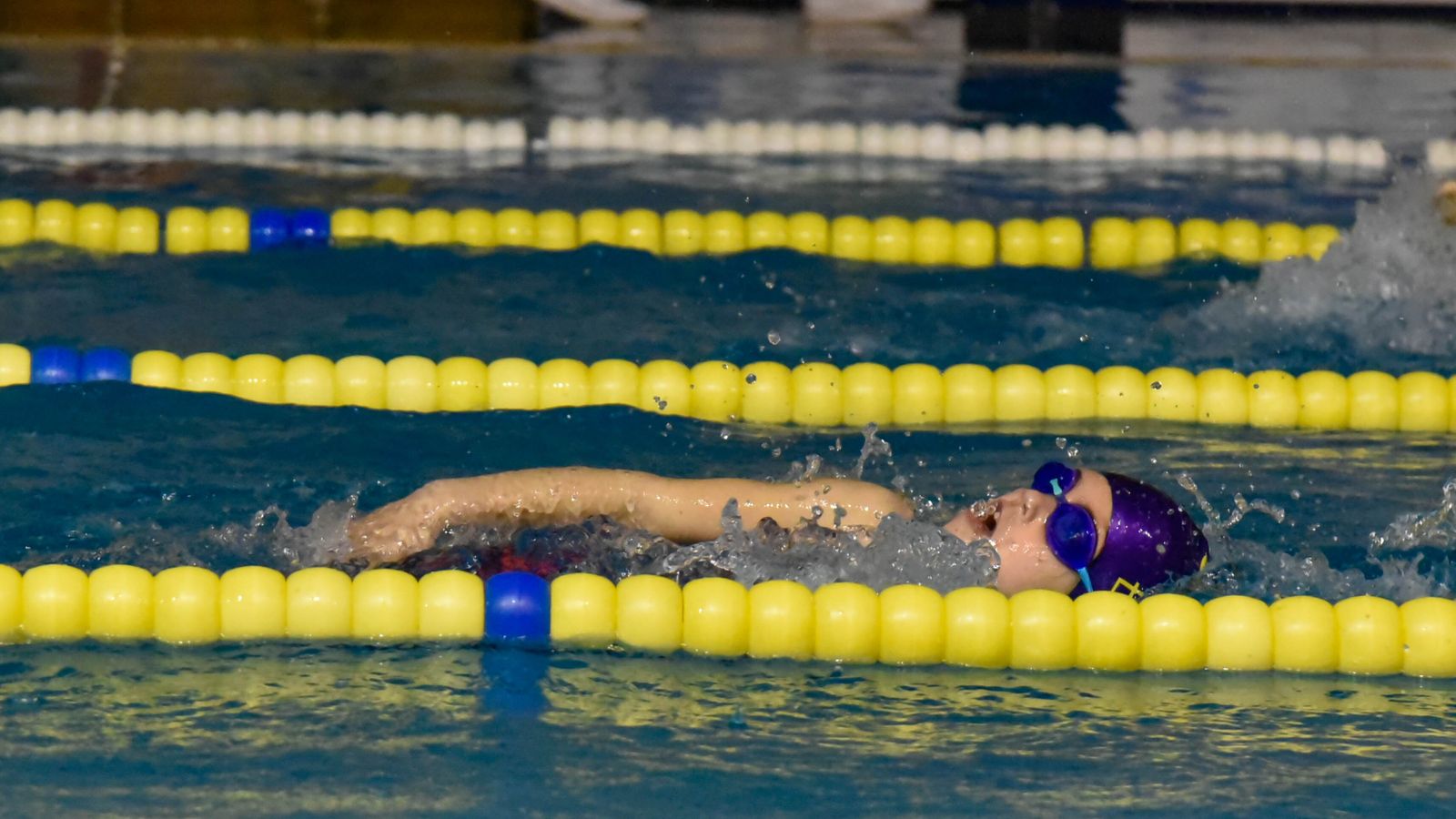 Las fotos del XVII trofeo de natación Día de Andalucía