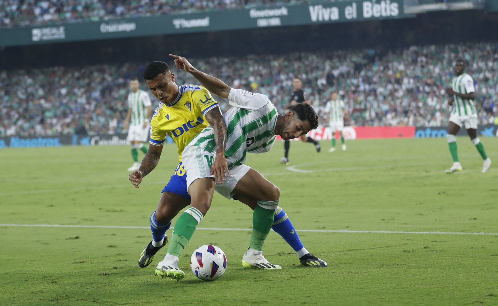 Ayoze pugna con el cadista Machís.