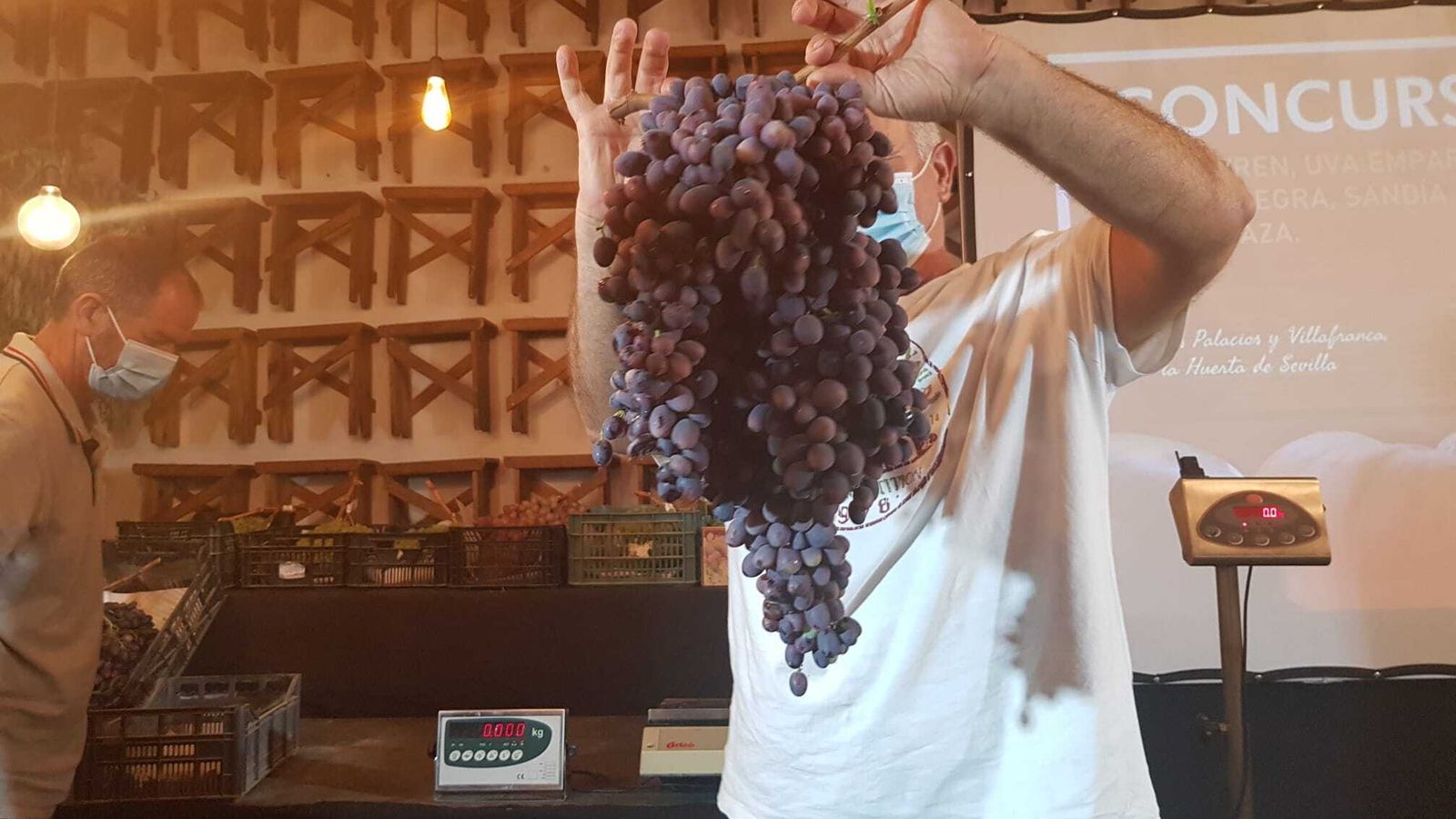 Participante en uva emparrada