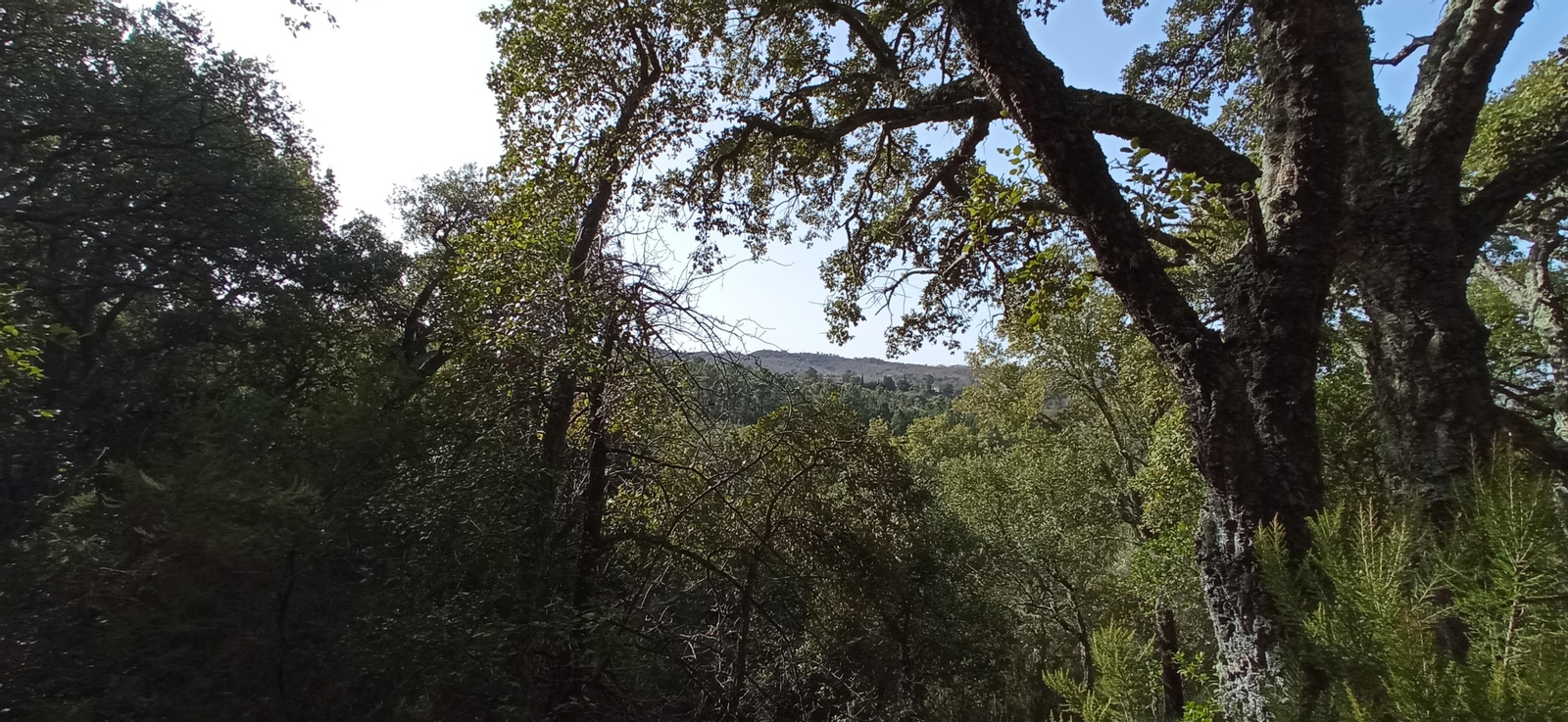 Las imágenes de la ruta de la Dehesa de Valdelama: De Los Marines a Fuenteheridos y vuelta