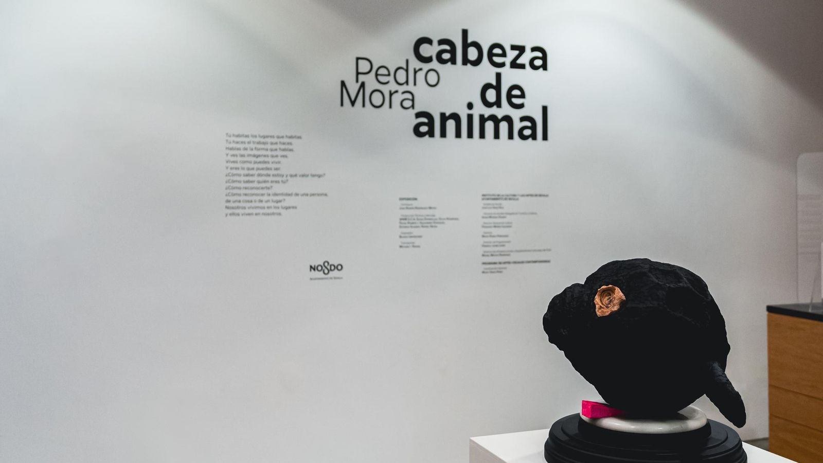 ‘Cabeza de animal’