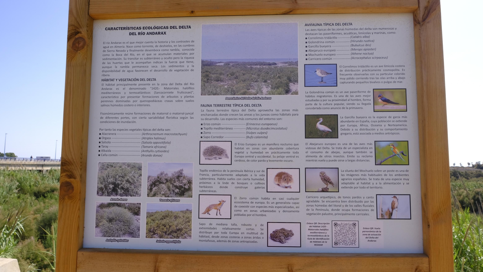 El nuevo Delta del Andarax comprometido con el deporte y la naturaleza