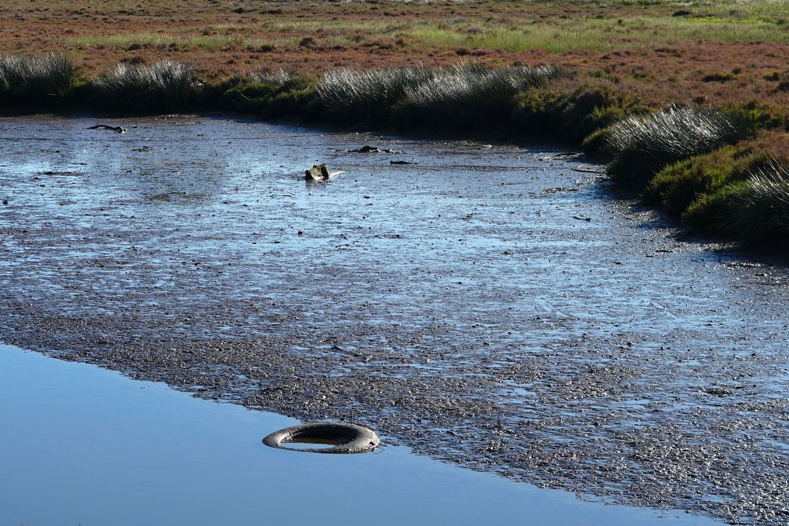 Fotos de la contaminación en el paraje natural marismas del Río Palmones