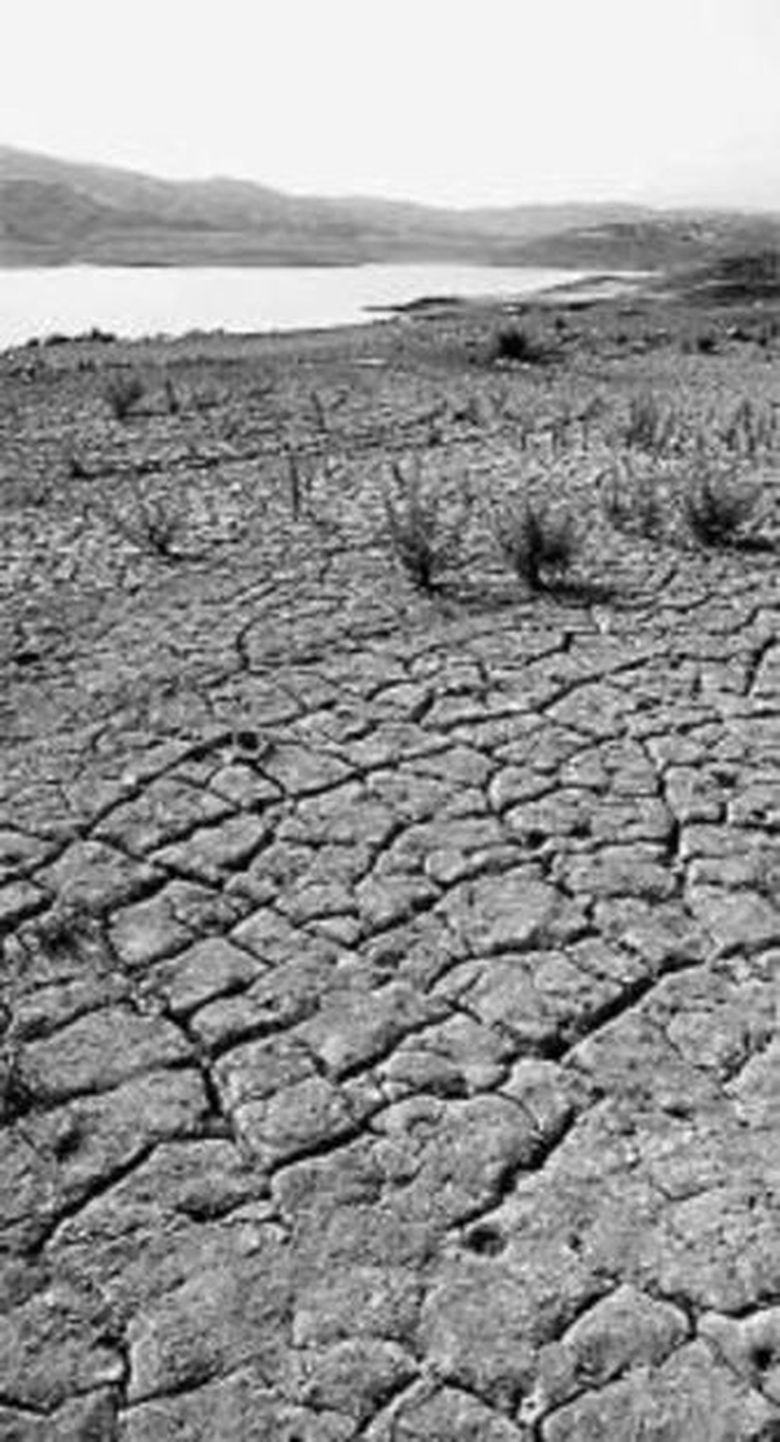 Pantano de La Viñuela.