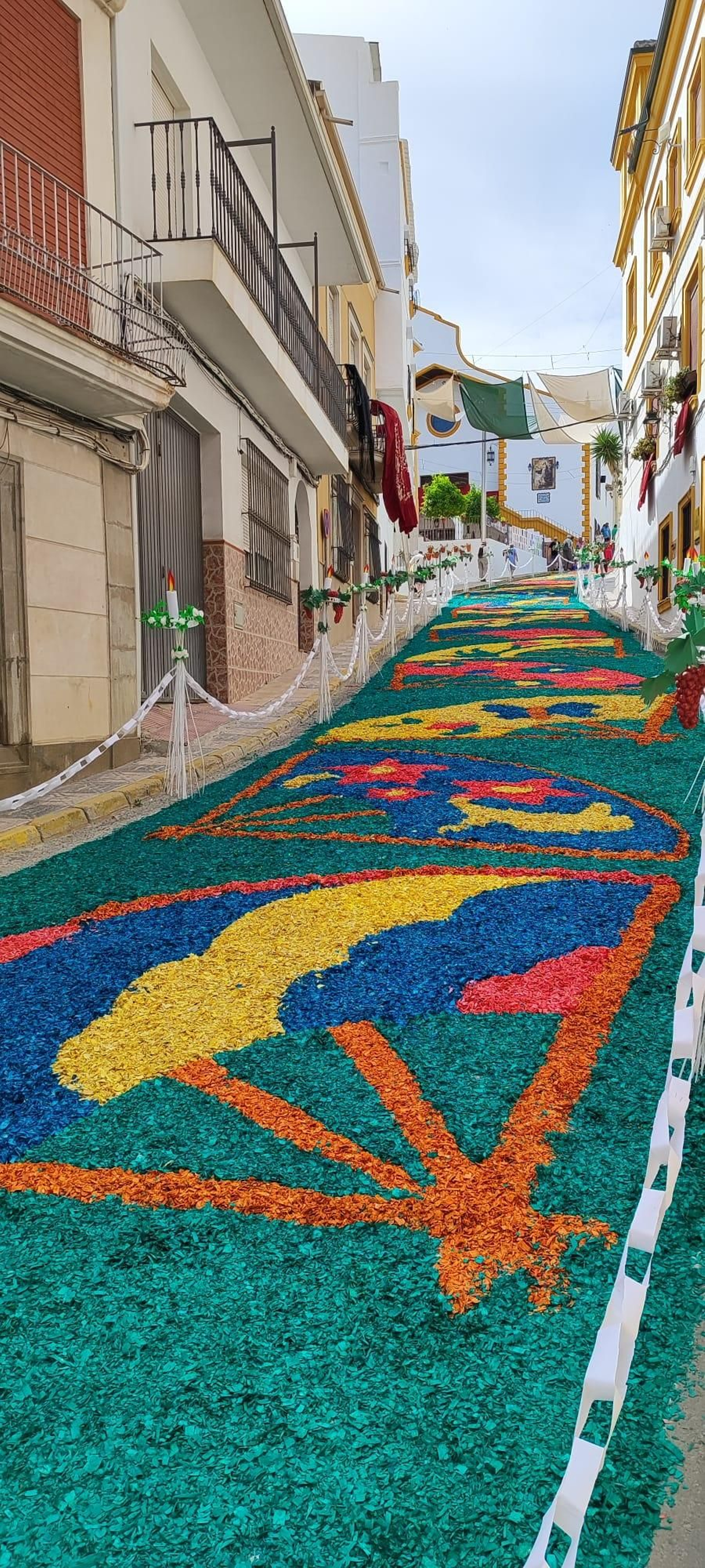 Alfombras del Corpus en Valenzuela Alfombras del Corpus en Valenzuela
