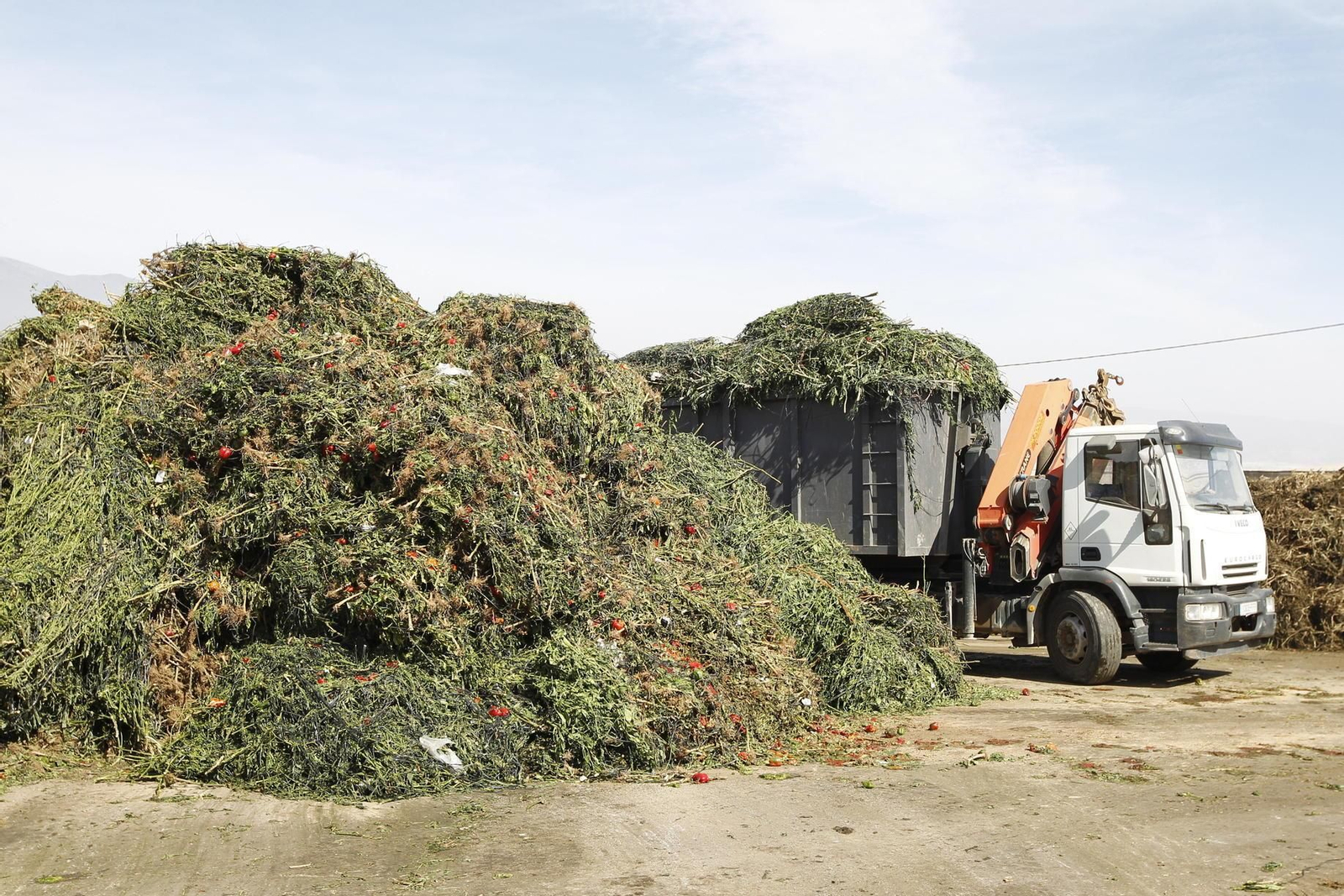 Almería aún no ha resuelto el reto de gestionar los restos vegetales.