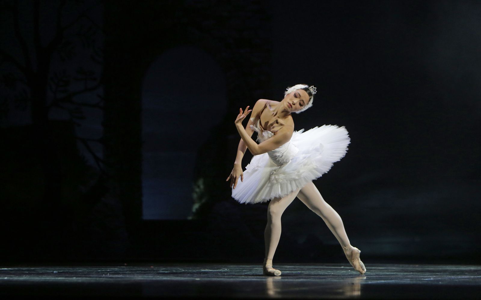 EL LAGO DE LOS CISNES