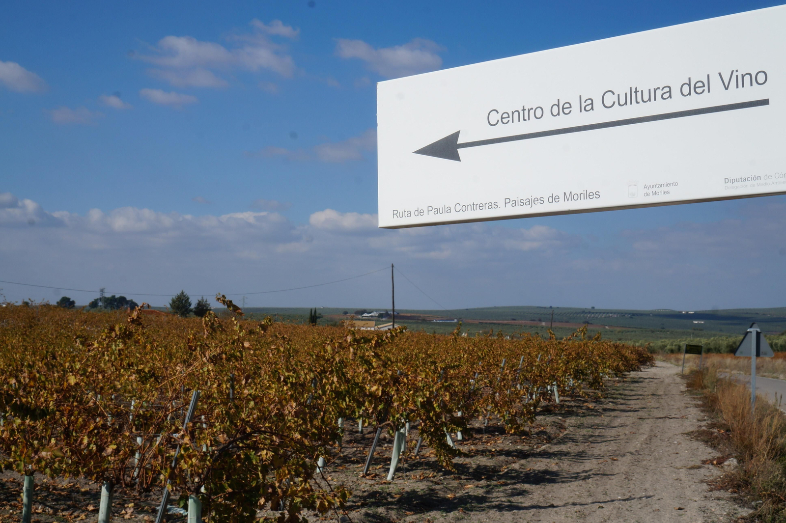 Un recorrido en fotografías por el vino nuevo de Moriles