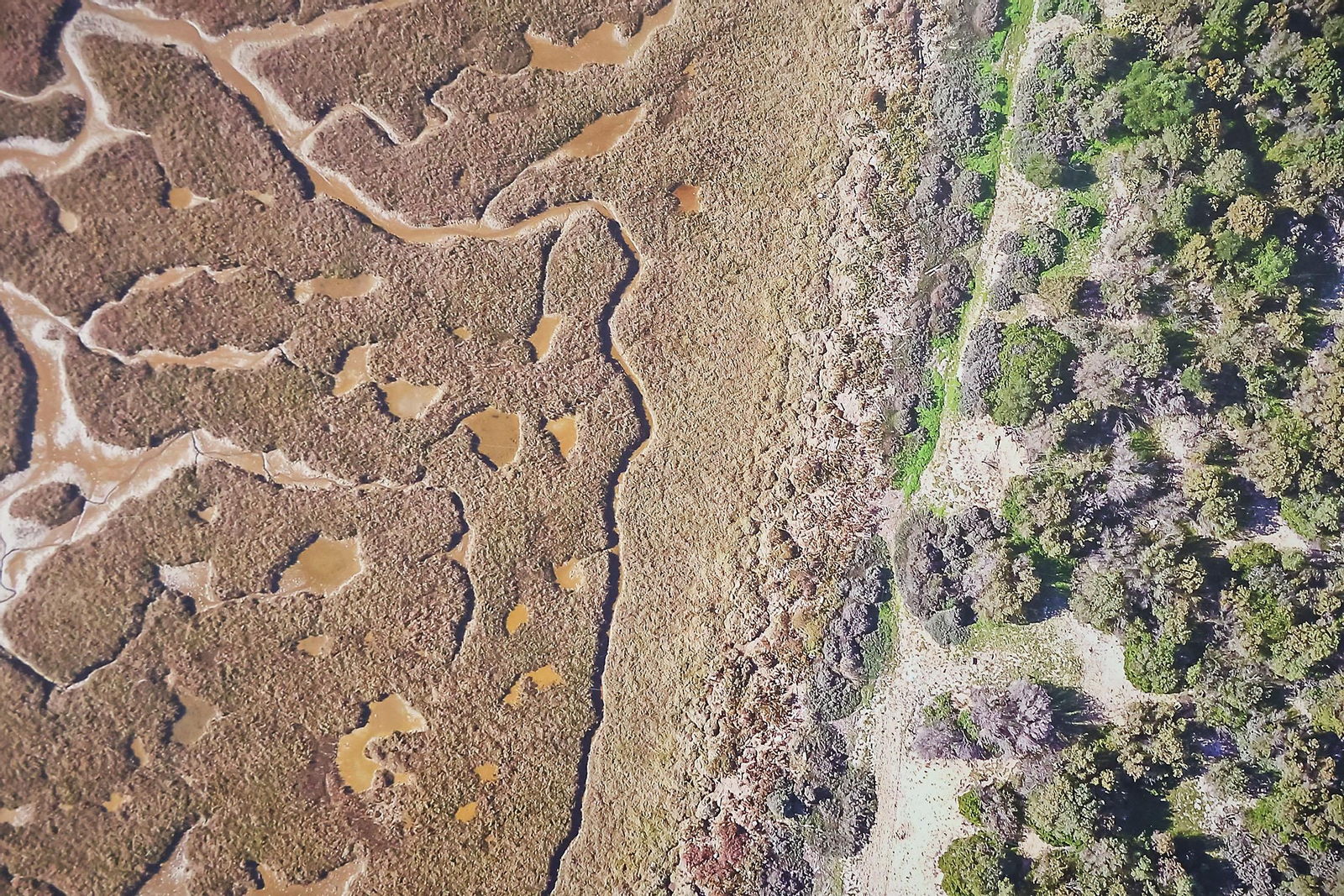 Imágenes de la inauguración de la muestra fotográfica 'Marismas del Odiel. Un paraje por descubrir'. En el Centro Cultural 'José Luis García Palacios'