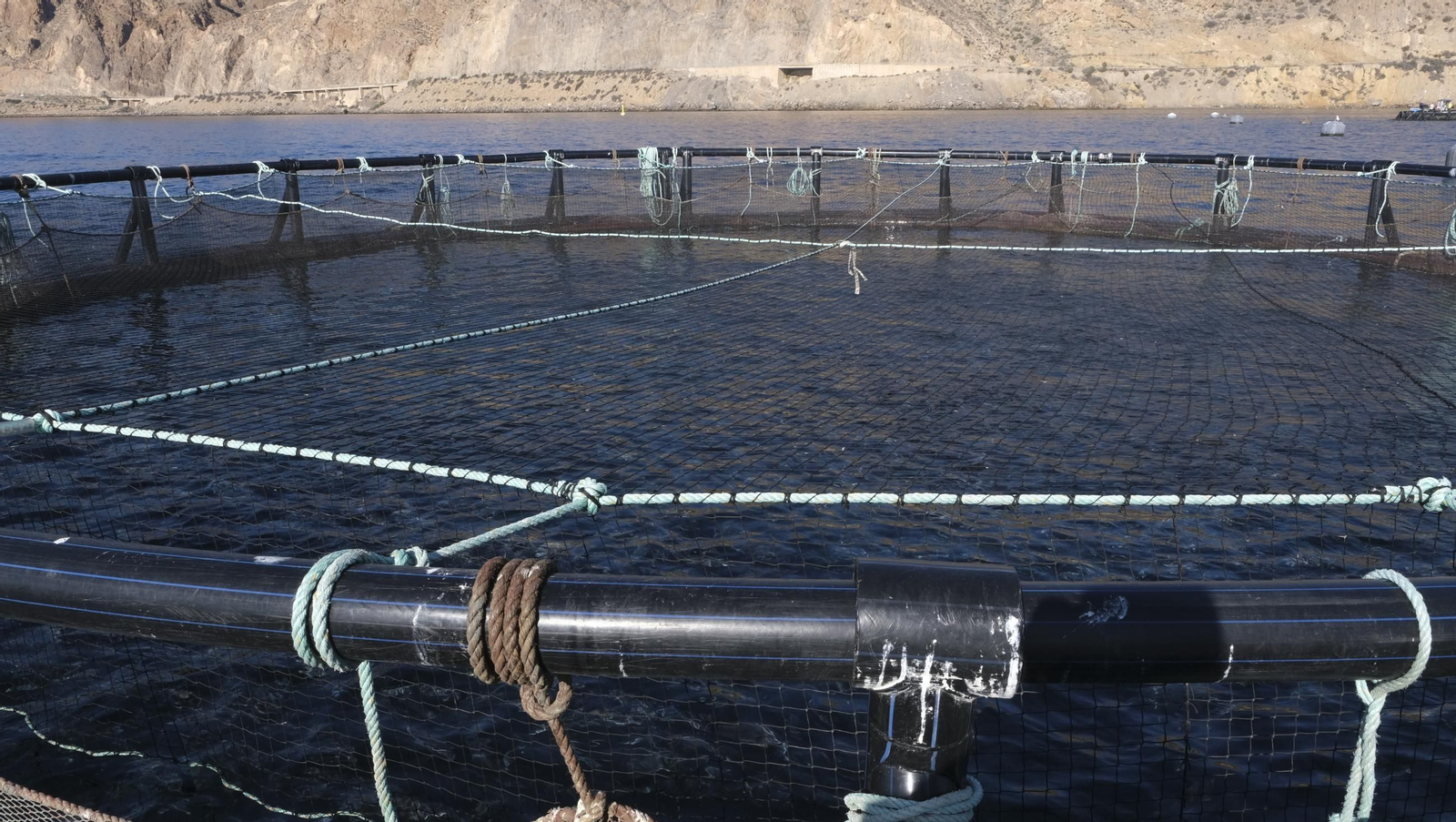 La piscifactoría de El Cañarete, en imágenes