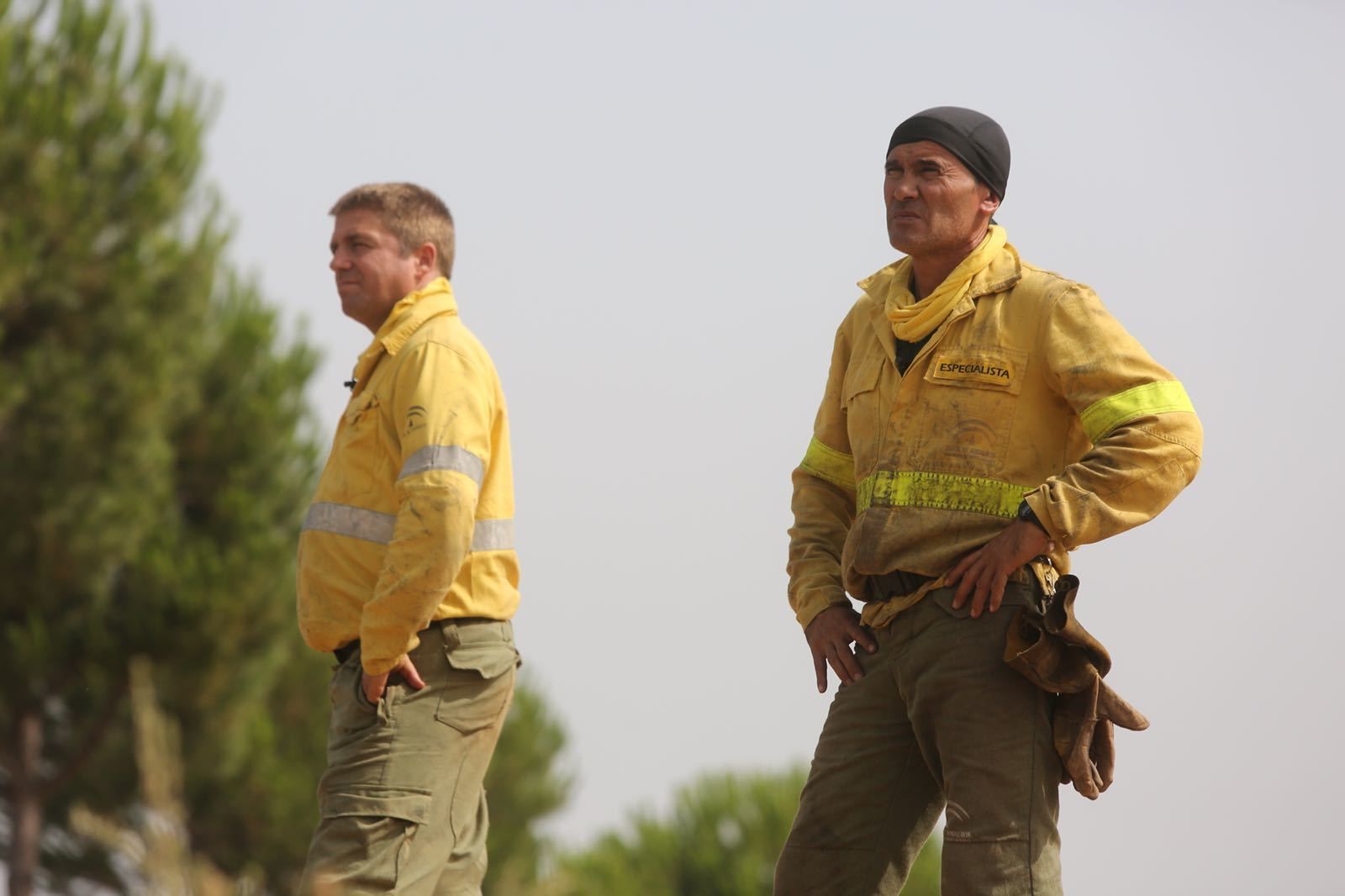 Los trabajos del Infoca en el incendio de Almonaster