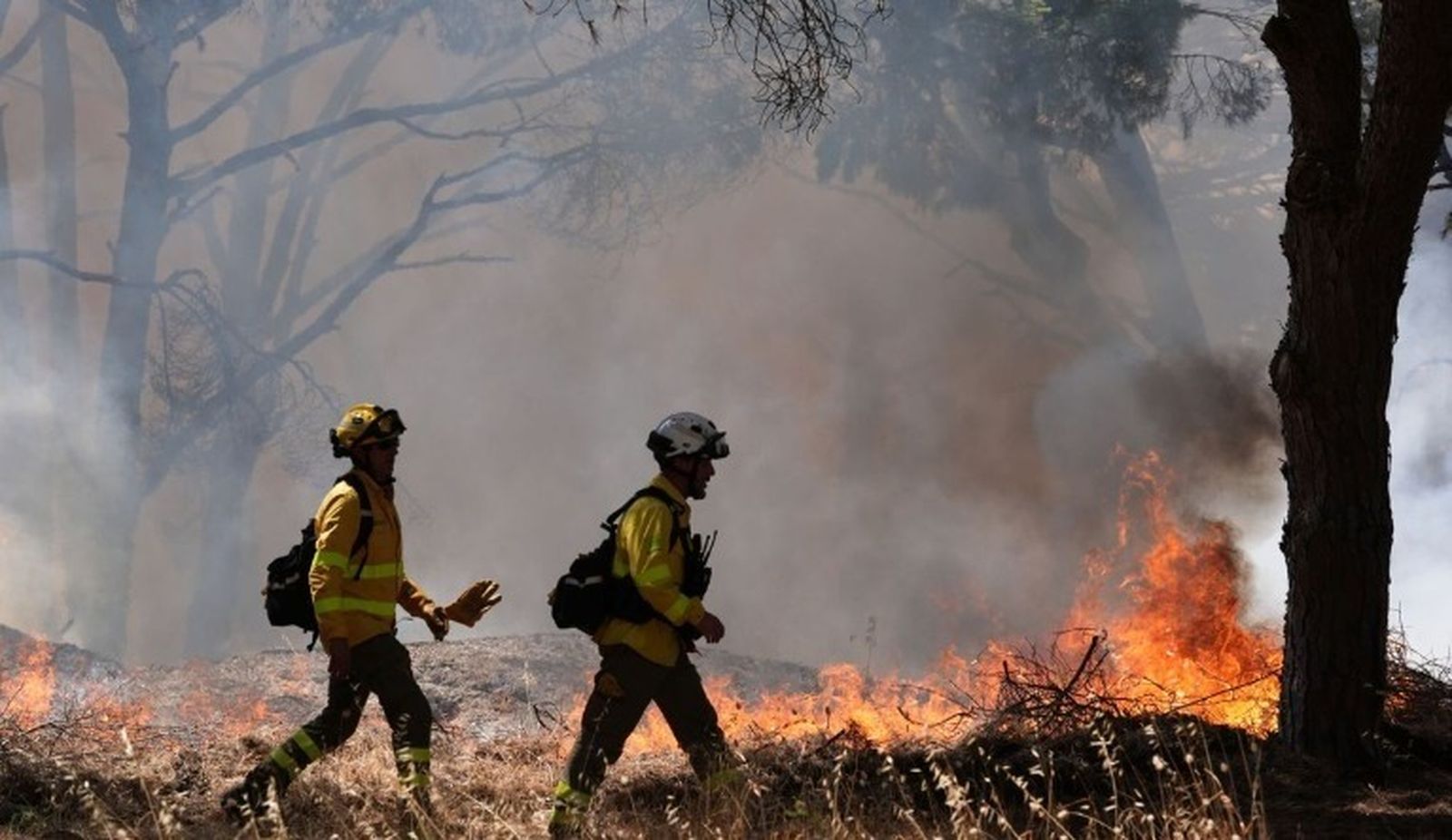 Una imagen del incendio.