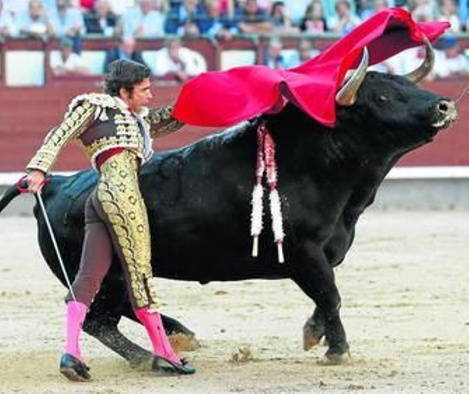 Fernando Robleño, en un pase de pecho a su primer toro de Cuadri.