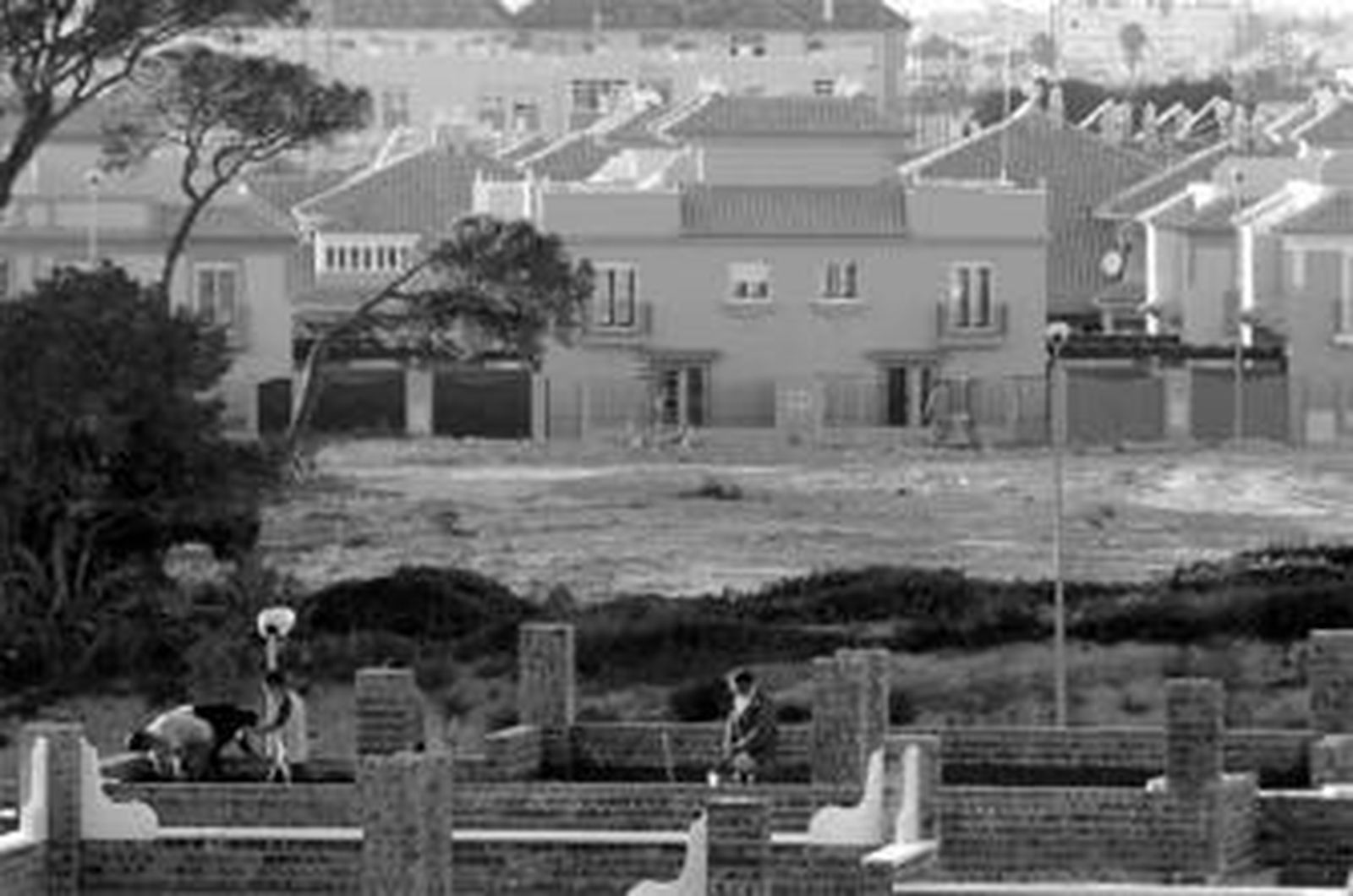 Promoción de viviendas en Puerto Real.