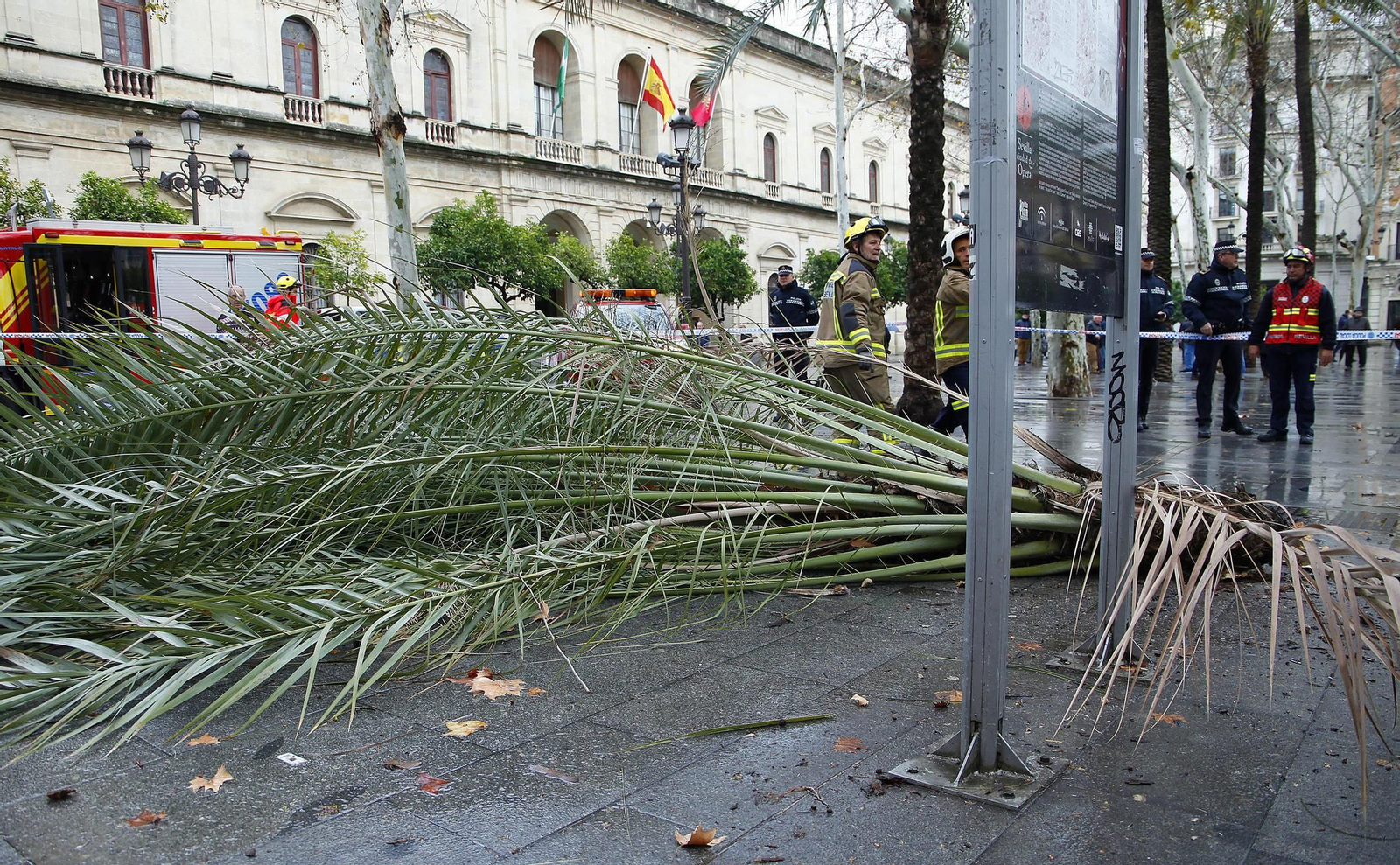 Las imágenes del temporal en Sevilla