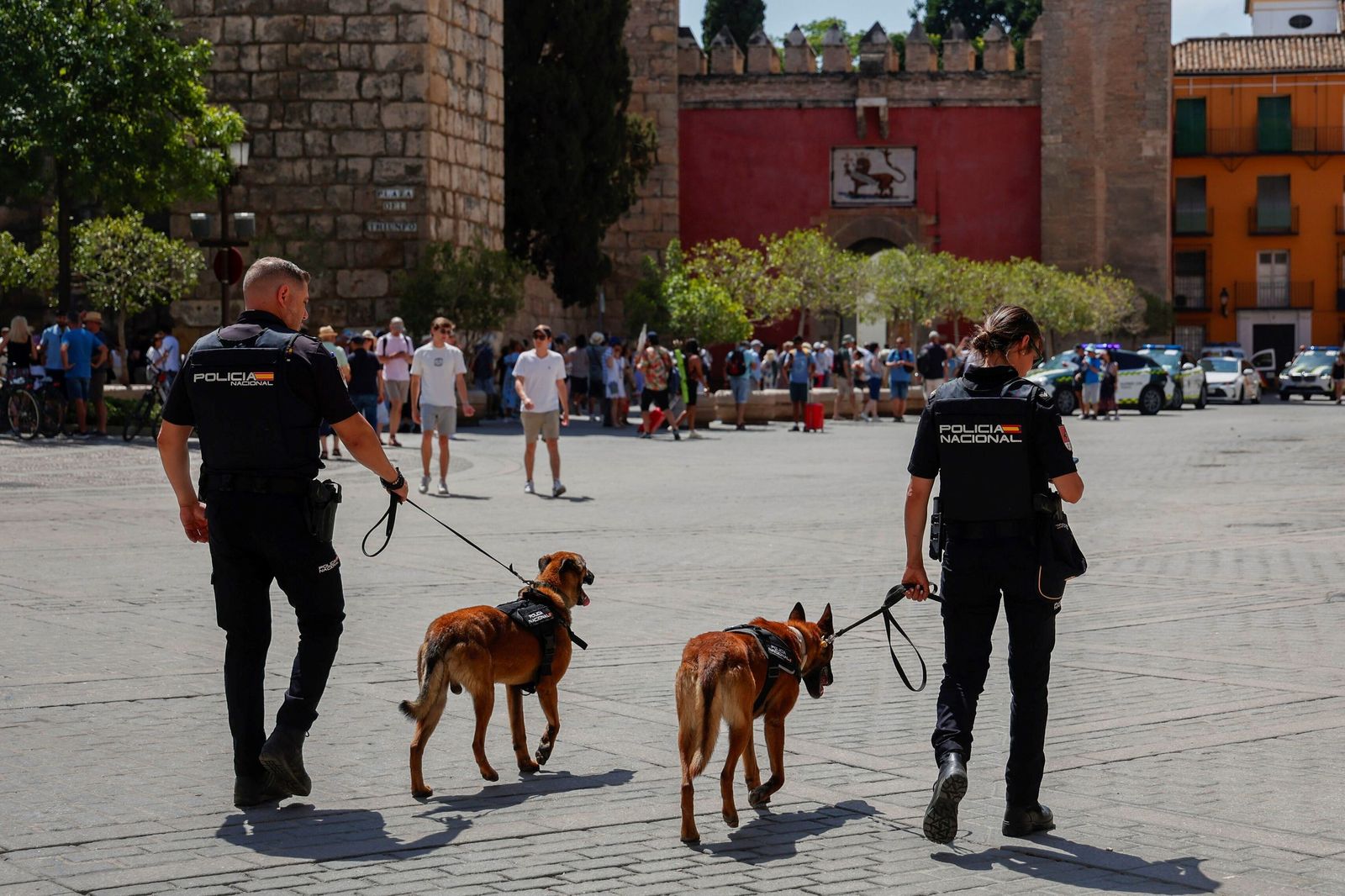 Patrulla con perros por el centro de Sevilla, los días de la cumbre de la ONU.