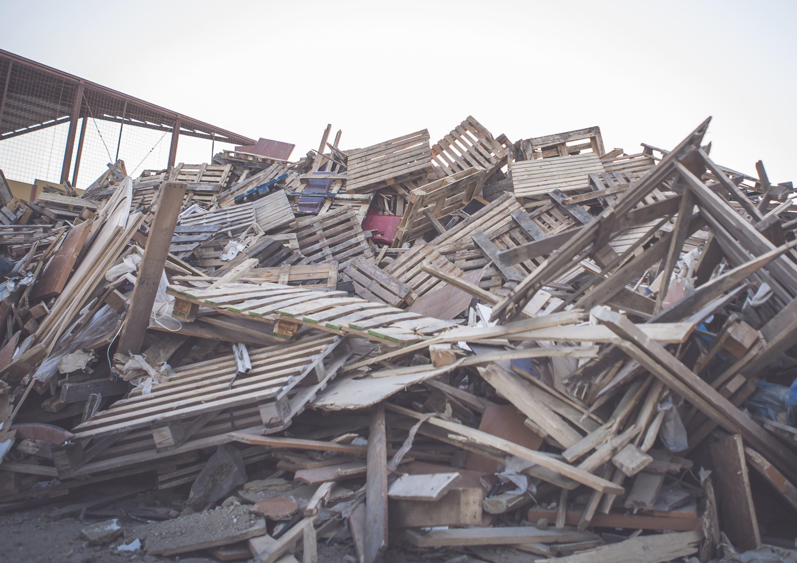 Segregación de maderas para valorización.