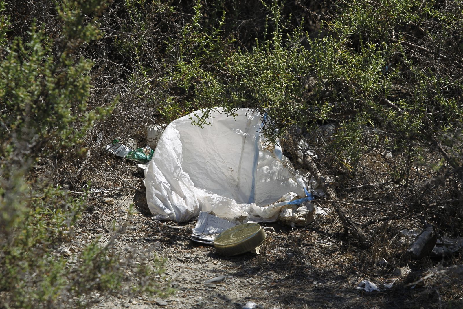 Fotogalería basura en el Desierto de Tabernas