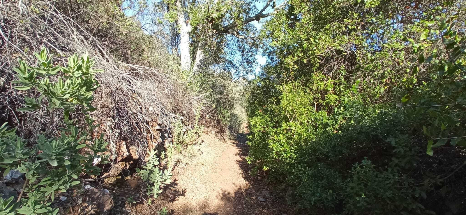 Fotos de la Ruta circular Aracena-Linares de la Sierra-Aracena