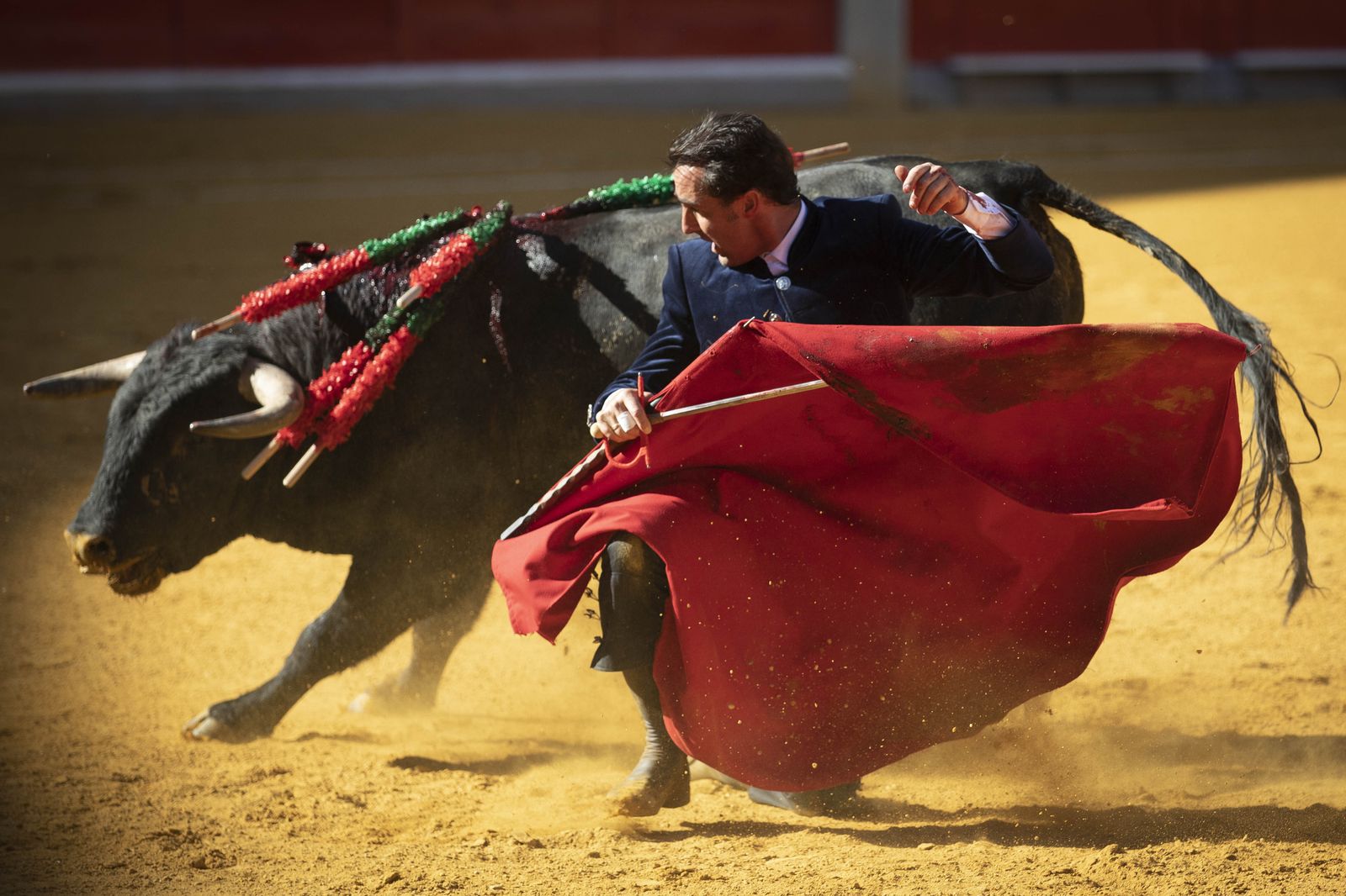 Las mejores imágenes del Festival Taurino en beneficio de Granadadown