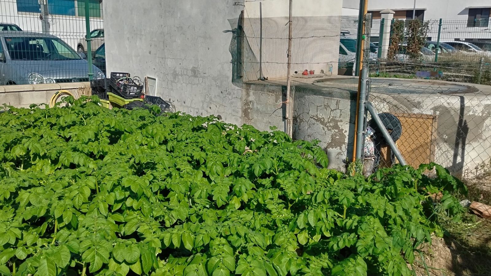 Una imagen del pozo que abastece a los huertos.