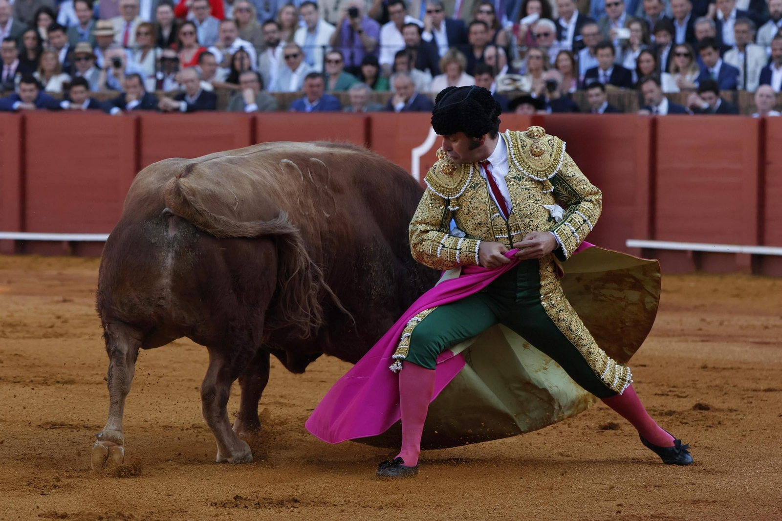 Las imágenes de la corrida