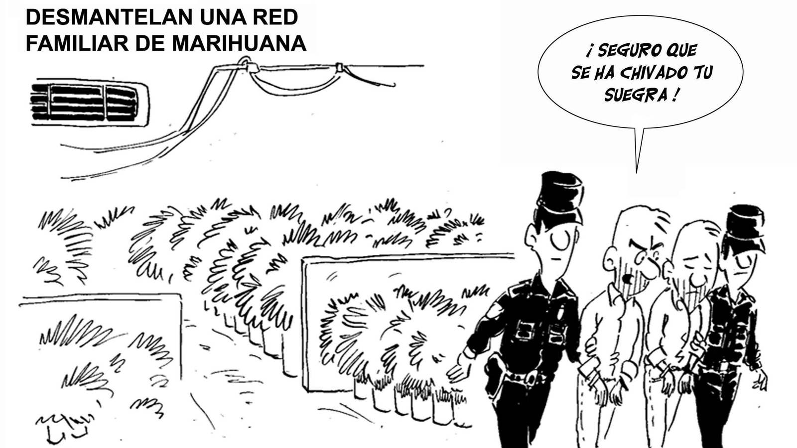 Desmantelada red