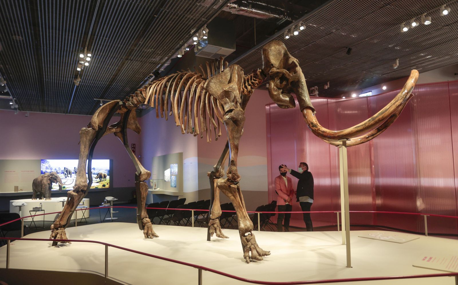 Visita en familia a la exposición 'Mamut. El gigante de la Edad de Hielo', en Caixafórum