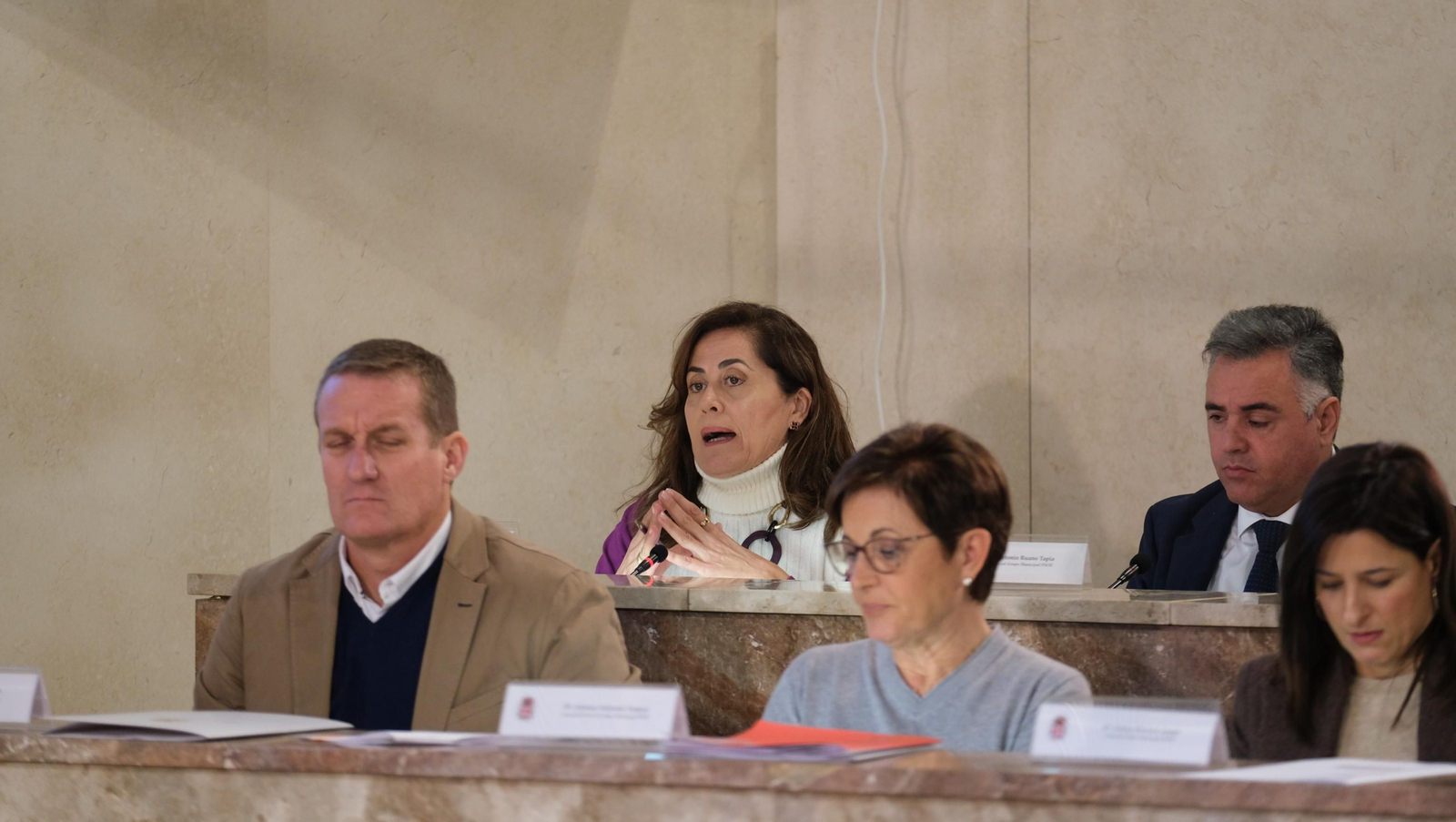 Imágenes del Pleno del Ayuntamiento de Almería