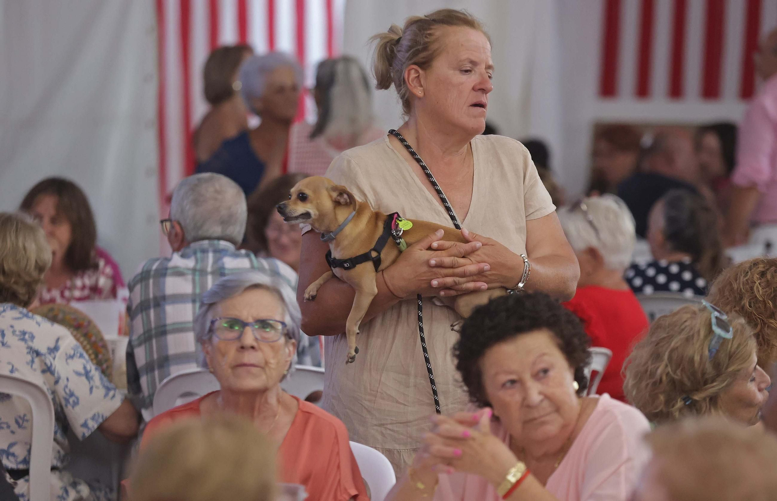 Fotos de la cena - homenaje a los mayores en la Feria de San Roque 2025 Fotos de la cena - homenaje a los mayores en la Feria de San Roque 2025
