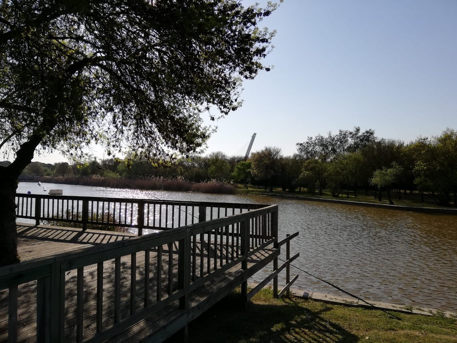 El Parque del Alamillo renueva un año más el certificado que acredita su excelencia ecológica