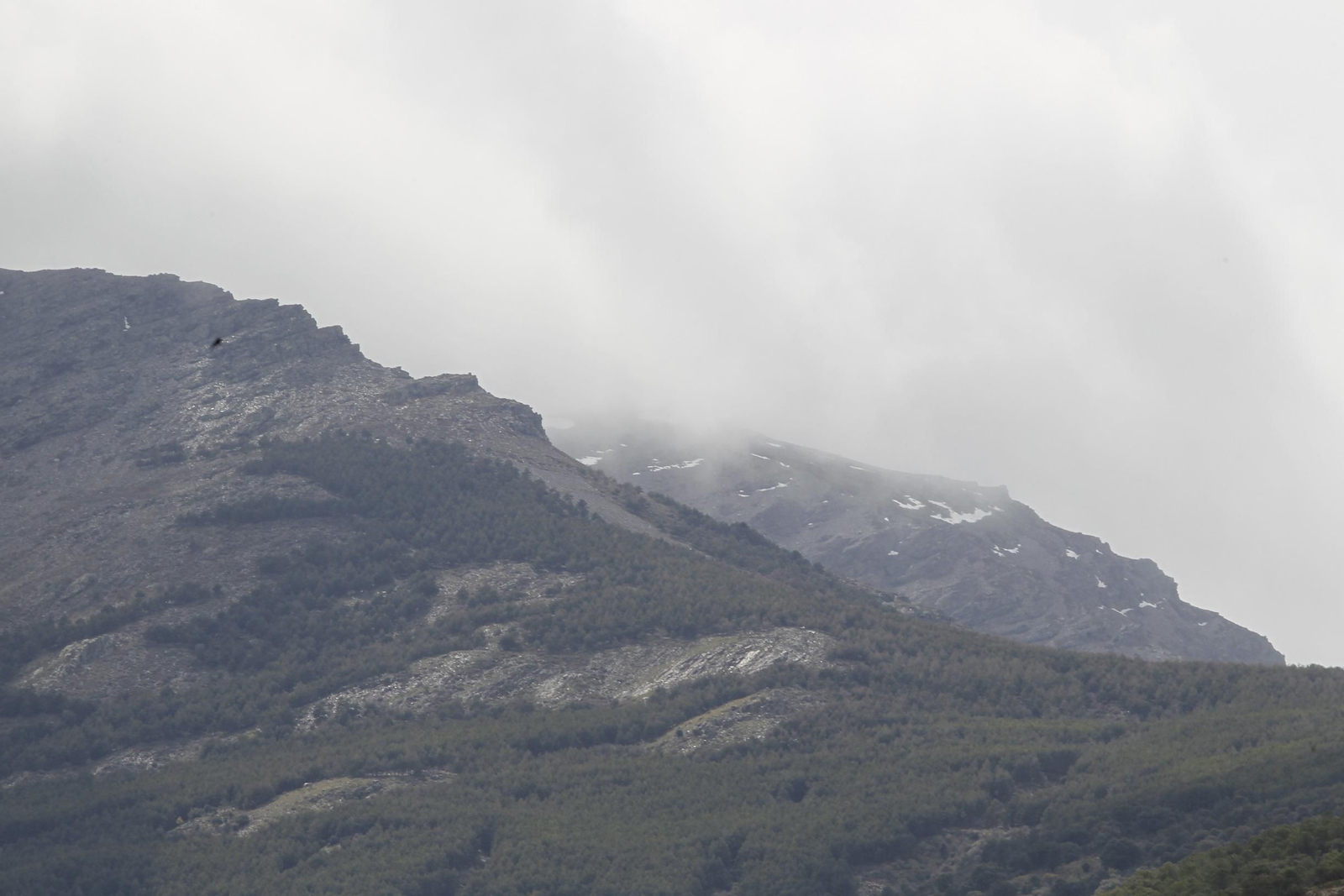 Naturaleza desconfinada. La Roza (Abrucena)