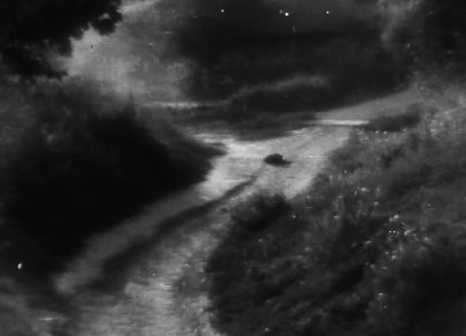 La razón de lo bello