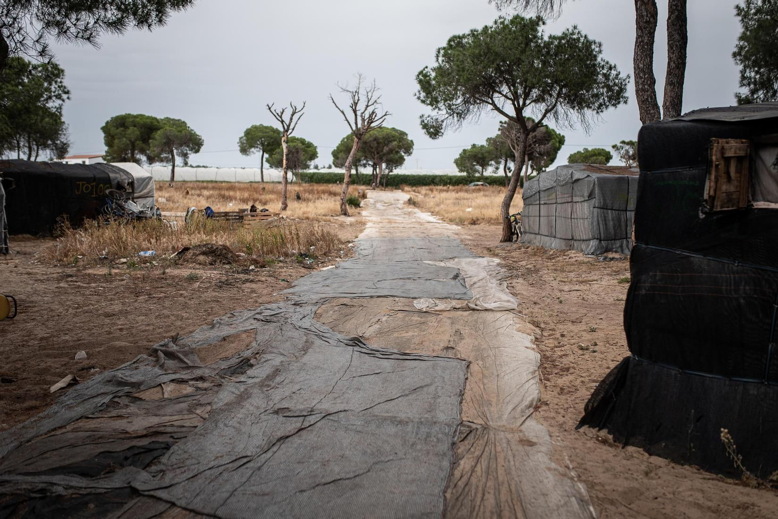 Galería de imágenes. La vida en el poblado chabolista de Las Madres (Moguer)