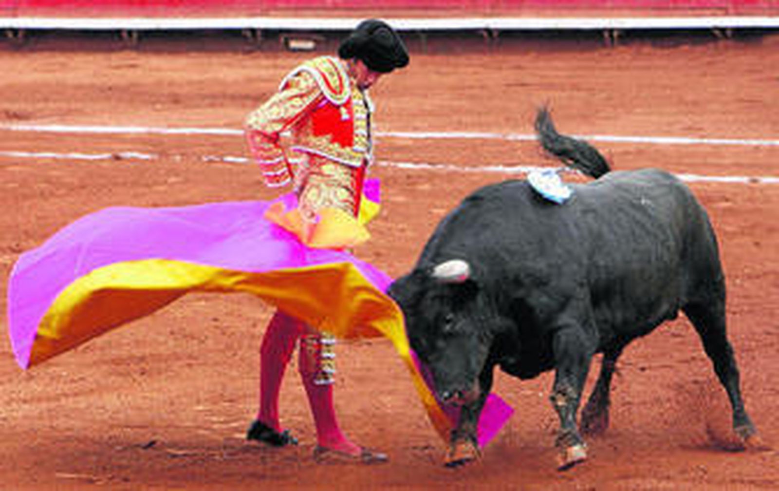 Sebastián Castella con su primer toro del festejo dominical en la Monumental Plaza México: 'Maestro', de 485 kilos en vivo.