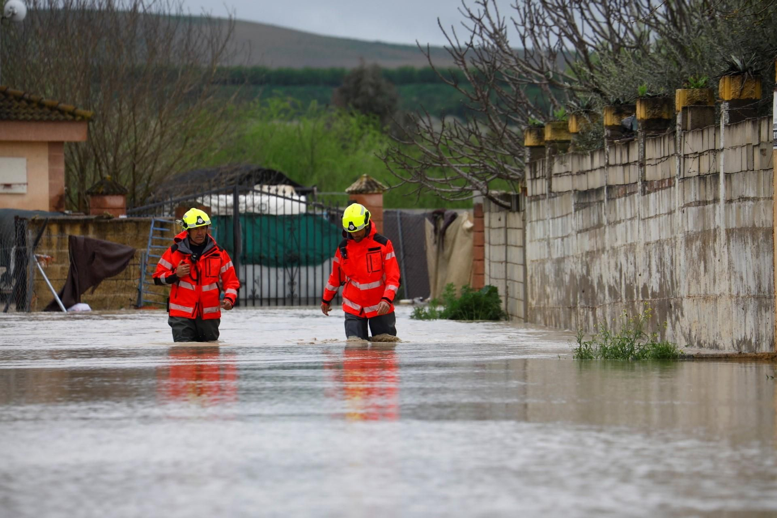 Las imágenes de las parcelaciones inundadas por la crecida del río Guadalquivir