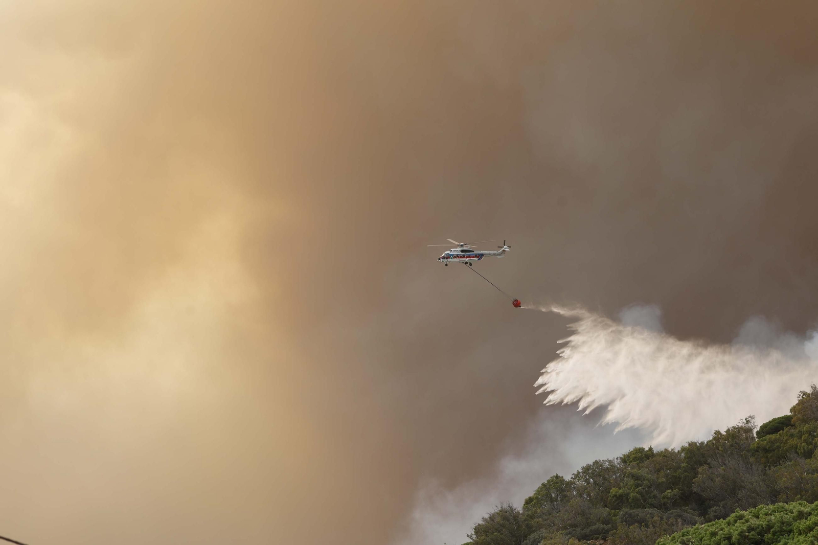 Las fotos del incendio forestal entre la Torre y Valdevaqueros en Tarifa