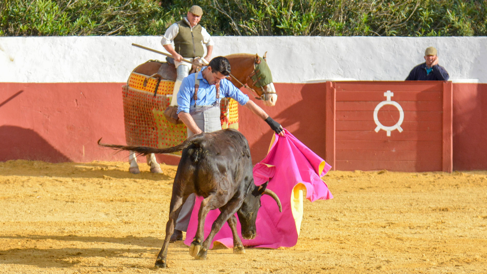 Tentadero con Talavante en la finca La Palmosilla