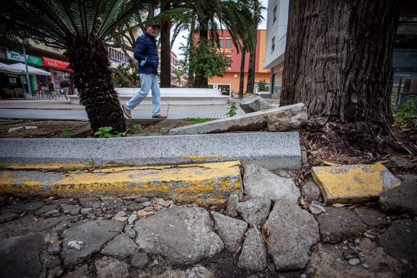 Parterre, acera y viario de la Avenida destrozados.