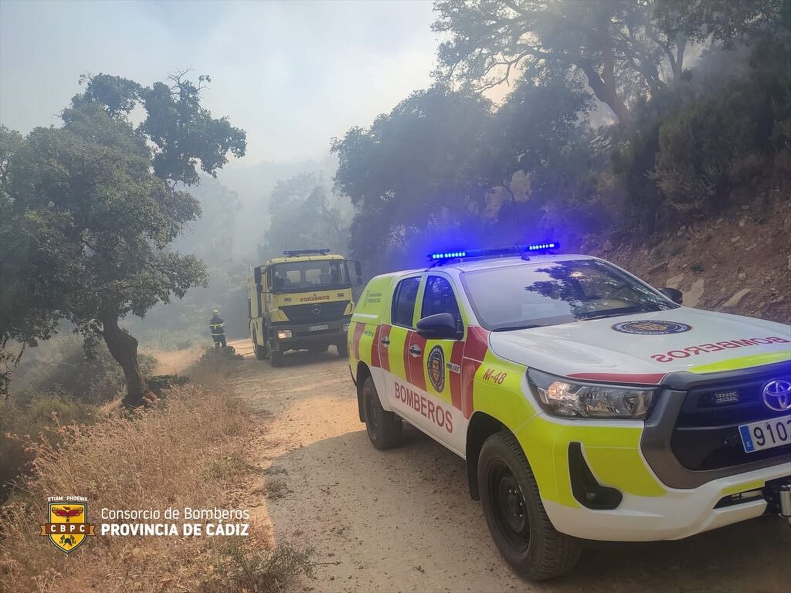Bomberos, durante el incendio forestal en Jimena.