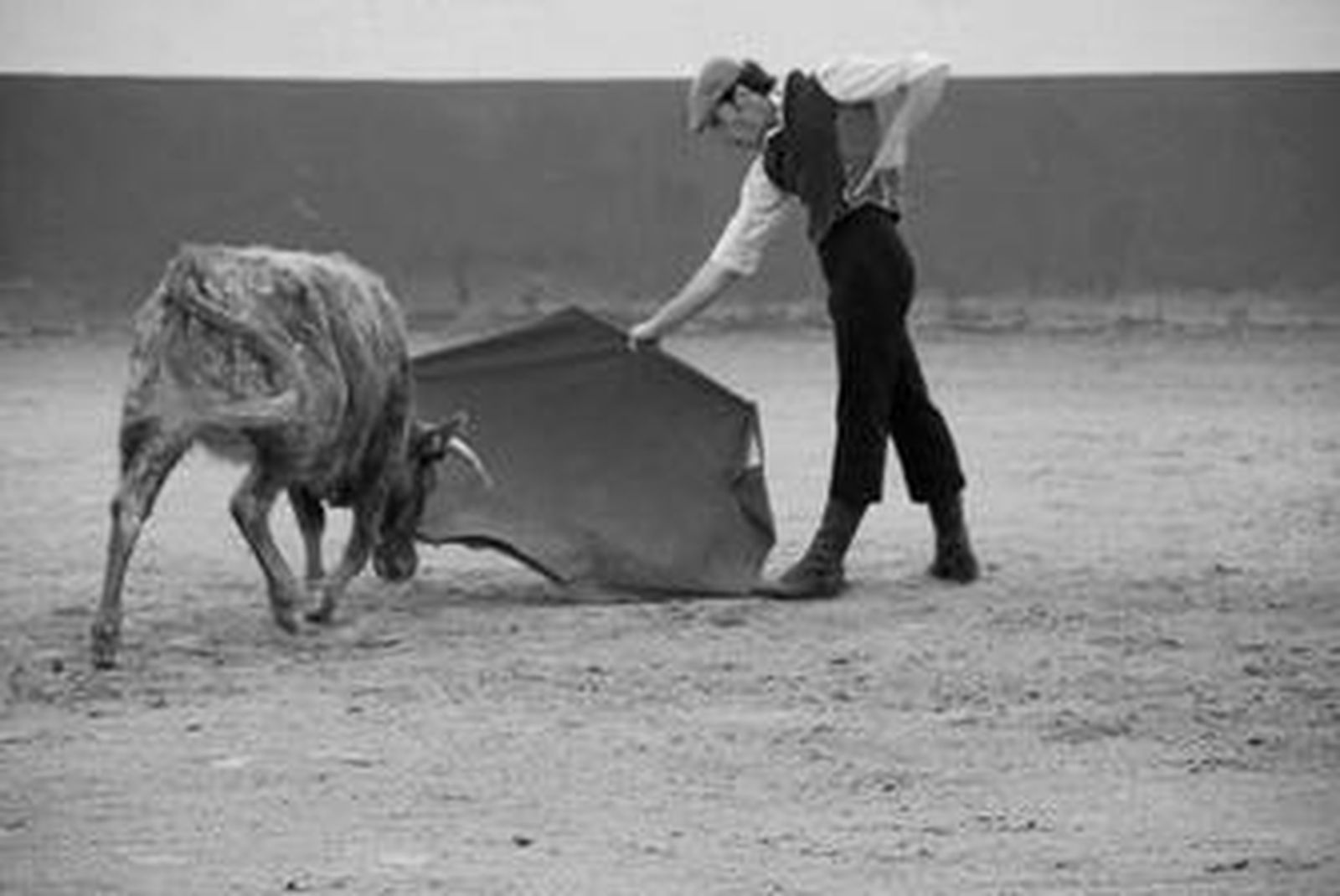 Tarde de tentadero con la becerra arrancándose alegre y de largo al caballo del piquero.