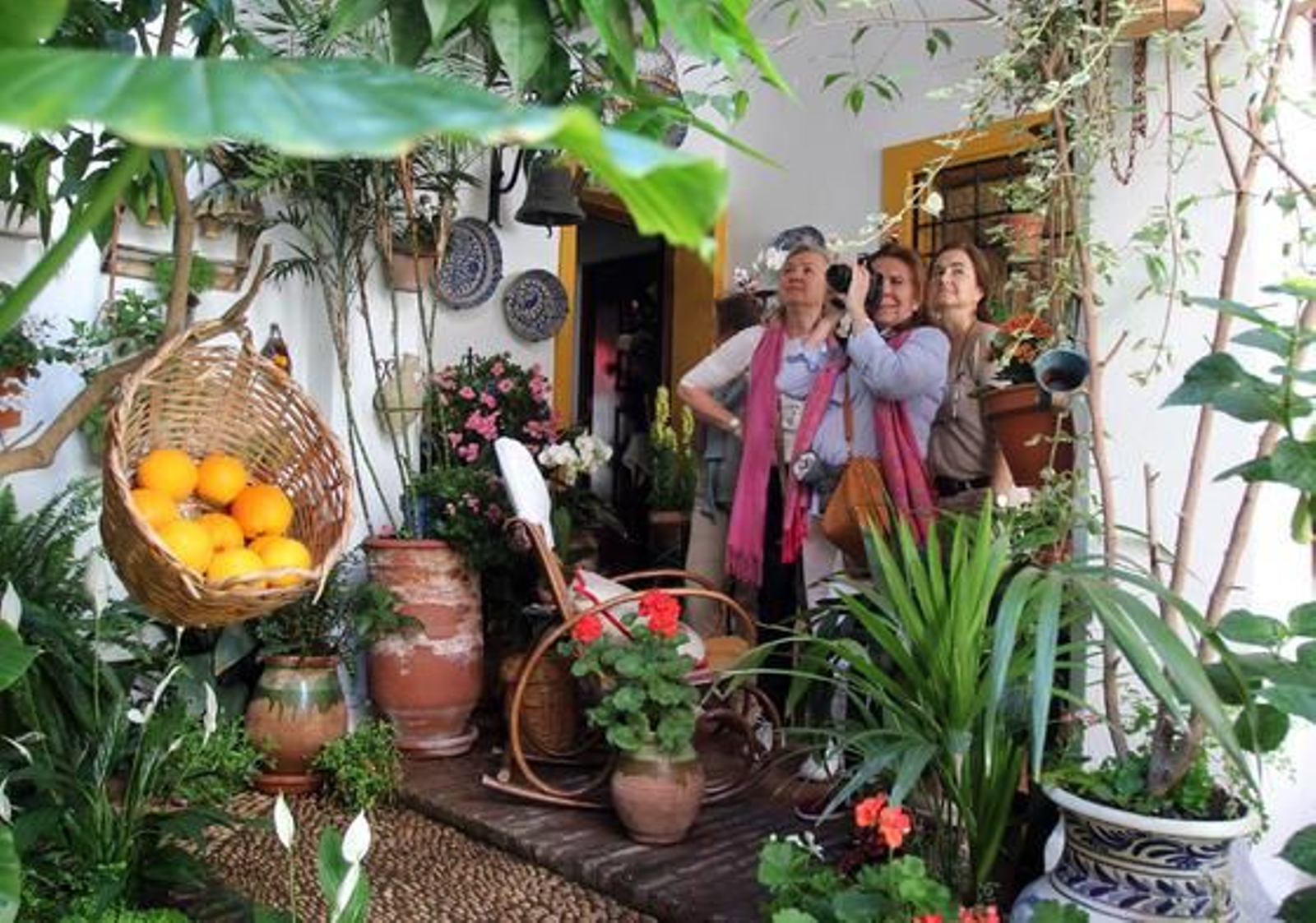 Tafures 2.

Foto: Jose Martinez