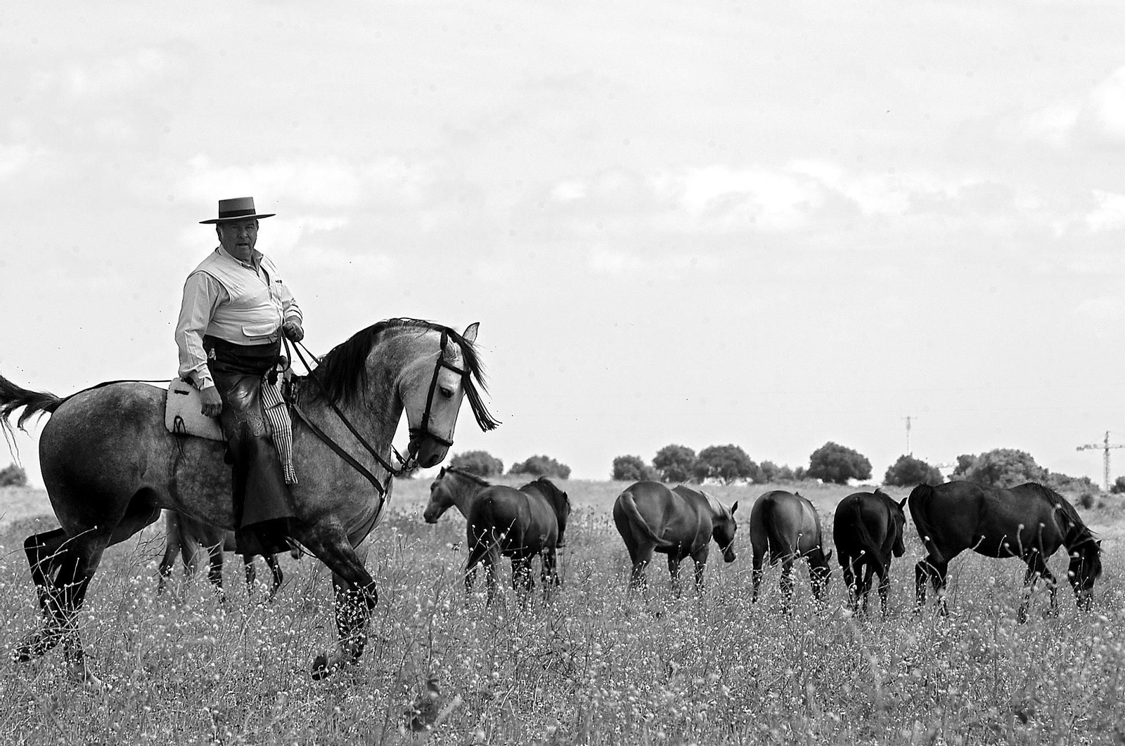 Álvaro Domecq, una vida en imágenes