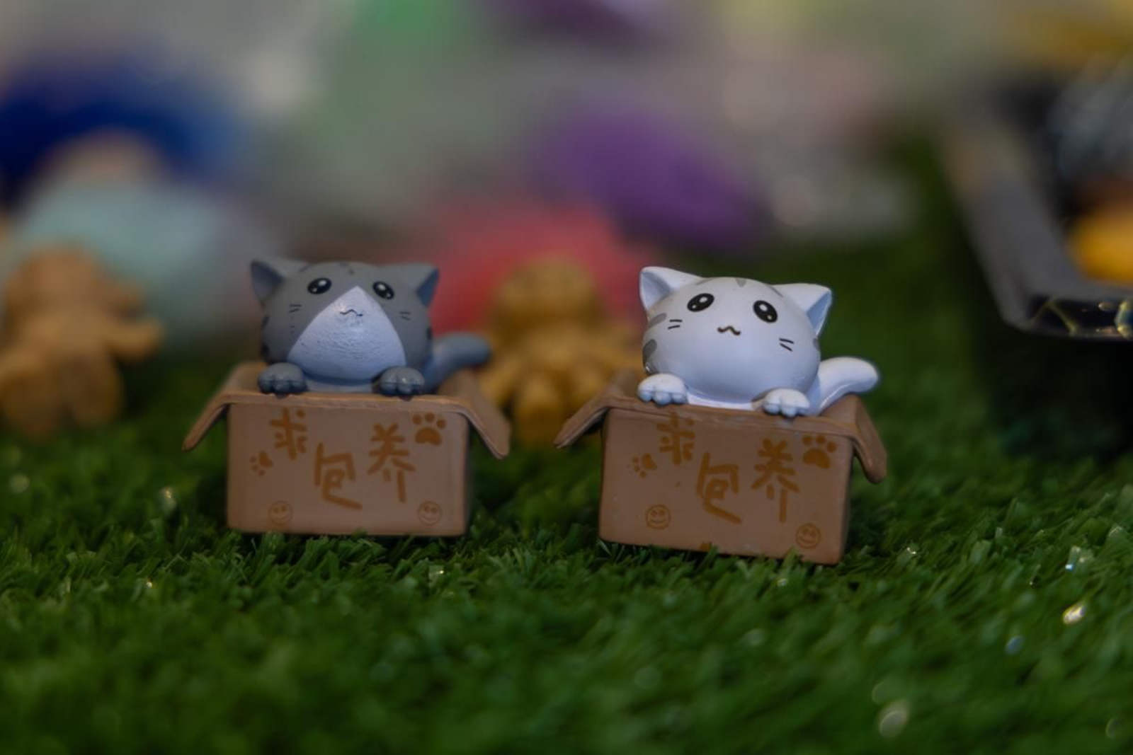 Jaén Go! en imágenes